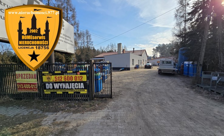 hala na wynajem - Bodzechów, Stara Dębowa Wola